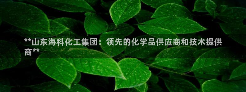球盟会(中国)官方网站