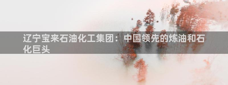 球盟会类似的网站