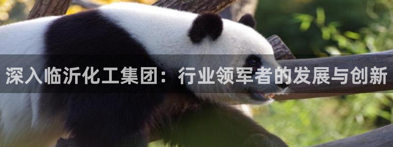 球盟会app网址多少