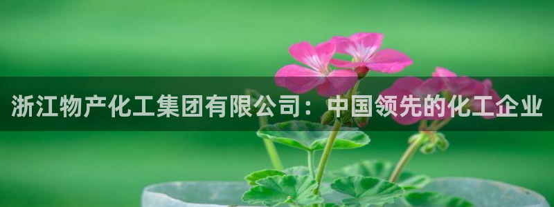 球盟会最新地址备用
