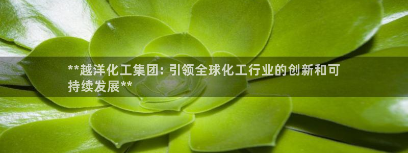 球盟会进不去球员吗