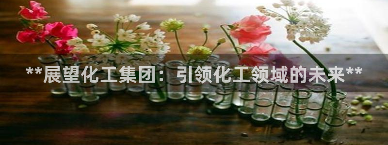 千亿球盟会乐玩