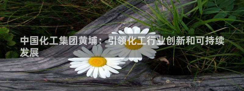 球盟会qmh电子网页版登录