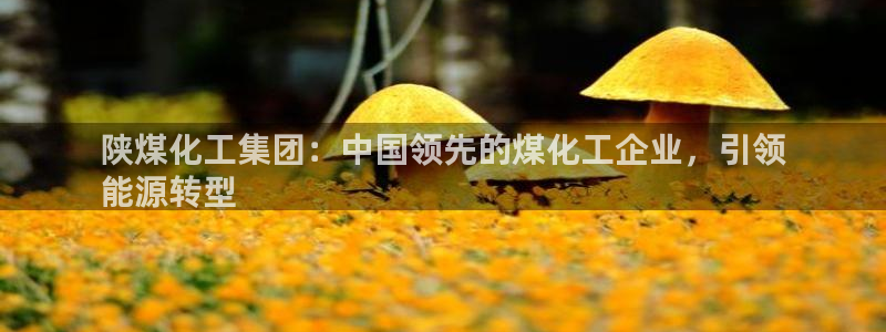 球盟会网址qm9 - 球盟会qmh网页版登录