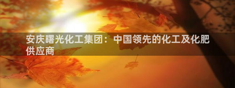 球盟会