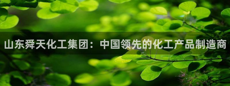 球盟会登陆入口