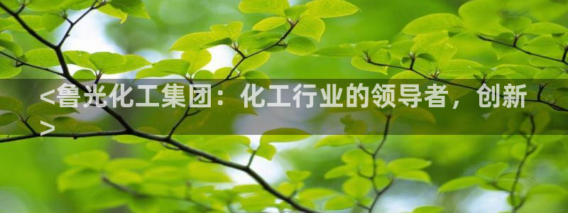 球盟会官网网页版：<鲁光化工集团：化工行业的领导者，创新
>