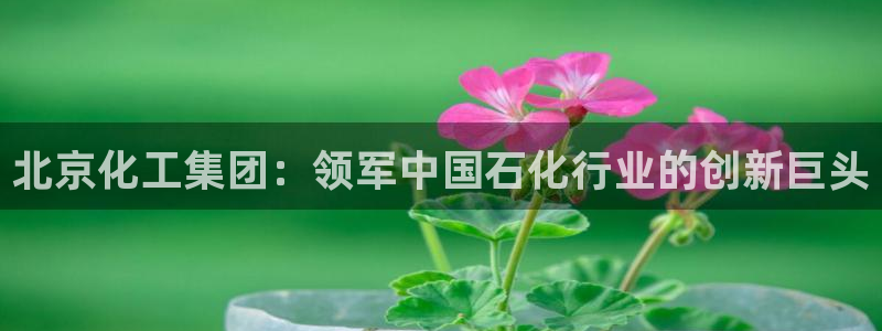 球盟会黑款吗知乎小说：北京化工集团：领军中国石化行业的创新巨