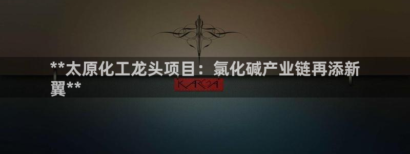 球盟会有没有黑单的球员：**太原化工龙头项目：氯化碱产业链再