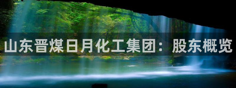 球盟会：山东晋煤日月化工集团：股东概览