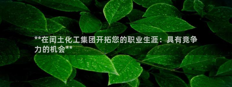 球盟会和中欧会的区别：**在闰土化工集团开拓您的职业生涯：具