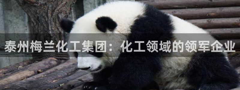 球盟会qmh网页版登录 - qm球盟会官方网站：泰州梅兰化工