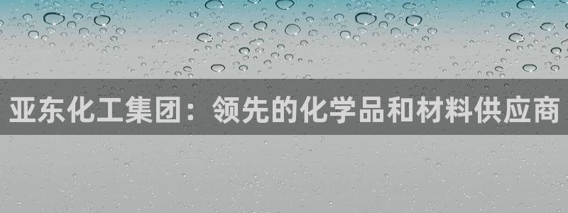 球盟会最新活动：亚东化工集团：领先的化学品和材料供应商