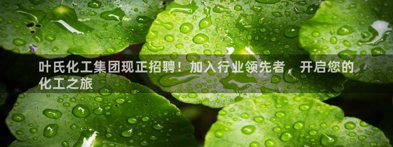 球盟会有没有黑单的：叶氏化工集团现正招聘！加入行业领先者，开
