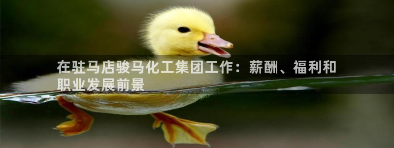 球盟会APP最新地址：在驻马店骏马化工集团工作：薪酬、福利和