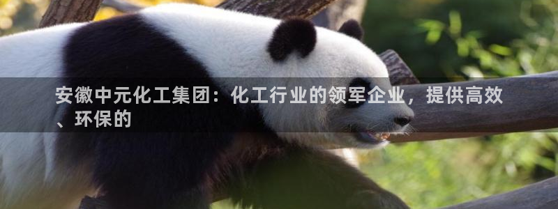 球盟会头号玩家是谁：安徽中元化工集团：化工行业的领军企业，提