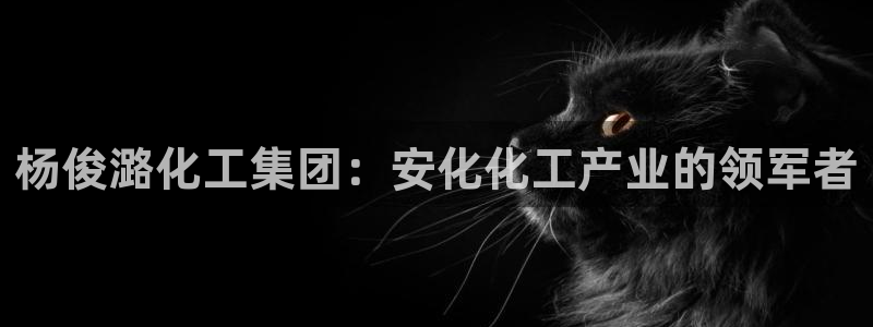 球盟会登陆入口：杨俊潞化工集团：安化化工产业的领军者