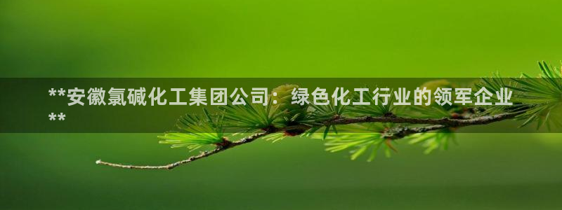 球盟会最新：**安徽氯碱化工集团公司：绿色化工行业的领军企业