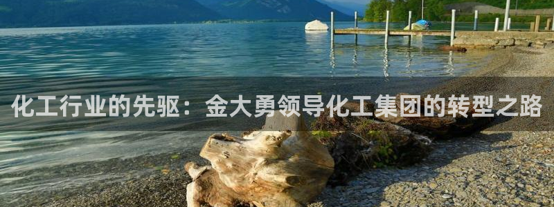 球盟会唯一：化工行业的先驱：金大勇领导化工集团的转型之路