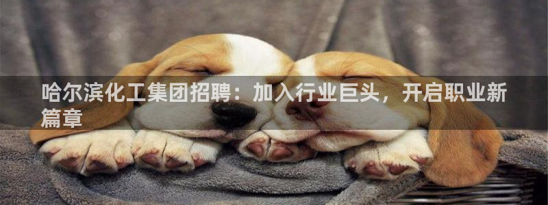 球盟会下款快吗：哈尔滨化工集团招聘：加入行业巨头，开启职业新