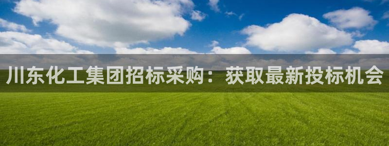 球盟会能退钱吗现在：川东化工集团招标采购：获取最新投标机会