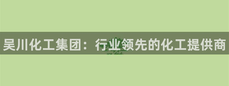 球盟会几点玩合适：吴川化工集团：行业领先的化工提供商