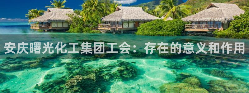 球盟会app：安庆曙光化工集团工会：存在的意义和作用